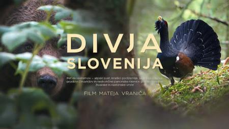 divja slovenija